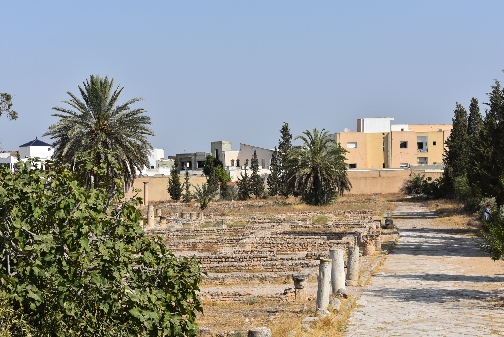 10.Tun_El Jem-Archaeological Museum-Ruinas romanas