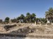 17.Tun_El Jem-Archaeological Museum-Ruinas romanas